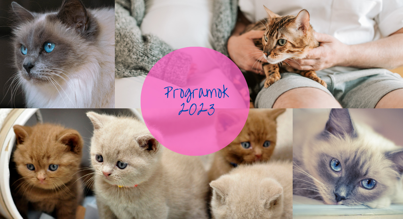 Programok 2023