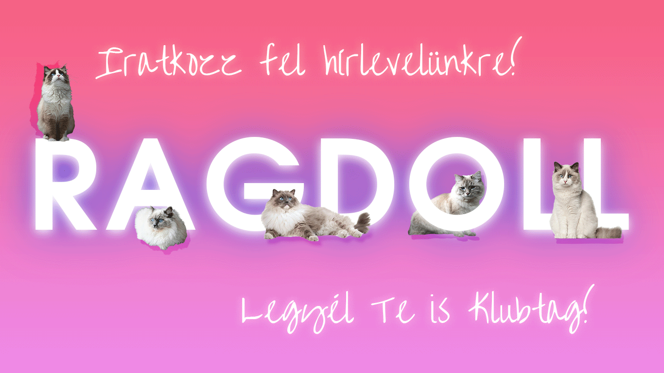 Tagság